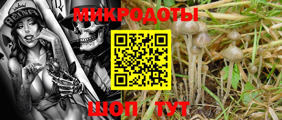 Псилоцибиновые грибы MAGIC MUSHROOMS Севастополь
