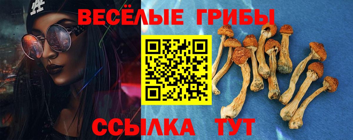 Севастополь  купить наркотик  Галлюциногенные грибы MAGIC MUSHROOMS  Вход с VPN  Галлюциногенные грибы ЛСД 